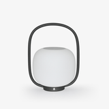 Wren Dawn Steel Outdoor Light