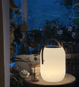 Dalia Frost Wood Outdoor Light, detail view 3