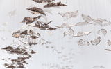 Eden Ridge Glass Chandelier, detail view 30