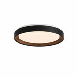 Galen Harbor Acrylic Ceiling Light, detail view 6