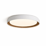 Galen Harbor Acrylic Ceiling Light, detail view 7