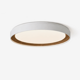Galen Harbor Acrylic Ceiling Light by Maison Velume