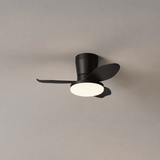 Vera Cove Acrylic Ceiling Fan, detail view 9
