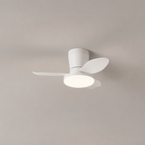 Vera Cove Acrylic Ceiling Fan, detail view 12