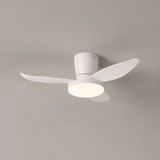 Vera Cove Acrylic Ceiling Fan, detail view 13