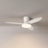 Vera Cove Acrylic Ceiling Fan, detail view 14