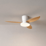 Vera Cove Acrylic Ceiling Fan, detail view 22