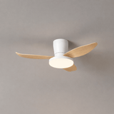 Vera Cove Acrylic Ceiling Fan, detail view 23