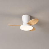 Vera Cove Acrylic Ceiling Fan, detail view 24