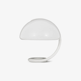 Vian Juniper Acrylic Table Lamp by Maison Velume