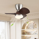 Vian Vale Acrylic Ceiling Fan, detail view 3
