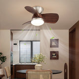 Clara Pearl Acrylic Ceiling Fan, detail view 3