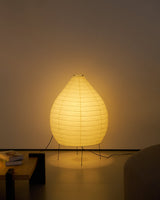 Rhea Opal Iron Floor Lamp, detail view 25