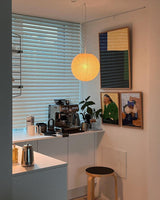 Sable Terra Iron Pendant Light, detail view 23