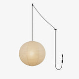 Sable Terra Iron Pendant Light, detail view 29