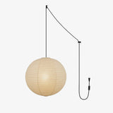 Sable Terra Iron Pendant Light