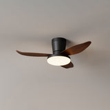 Vera Cove Acrylic Ceiling Fan, detail view 7