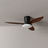 Vera Cove Acrylic Ceiling Fan, detail view 16