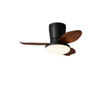 Vera Cove Acrylic Ceiling Fan, detail view 18