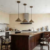 Wren Wisp Brass Pendant Light, detail view 5