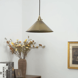 Wren Wisp Brass Pendant Light, detail view 8