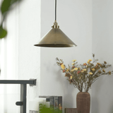 Wren Wisp Brass Pendant Light, detail view 9
