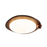 Auria Rose Metal Ceiling Light, detail view 29