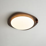 Auria Rose Metal Ceiling Light, detail view 22