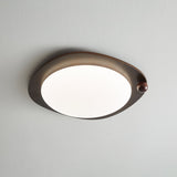 Auria Rose Metal Ceiling Light, detail view 23
