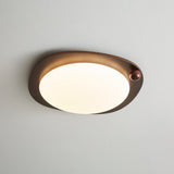 Auria Rose Metal Ceiling Light, detail view 24