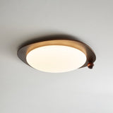 Auria Rose Metal Ceiling Light, detail view 7