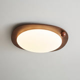 Auria Rose Metal Ceiling Light, detail view 17