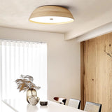 Nella Wisp Acrylic Ceiling Light, detail view 3