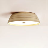 Nella Wisp Acrylic Ceiling Light, detail view 10