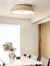 Nella Wisp Acrylic Ceiling Light, detail view 12