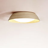 Nella Wisp Acrylic Ceiling Light, detail view 6