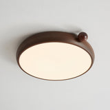 Elara Silva Acrylic Ceiling Light, detail view 14