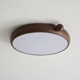 Elara Silva Acrylic Ceiling Light, detail view 23