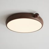 Elara Silva Acrylic Ceiling Light, detail view 17