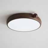 Elara Silva Acrylic Ceiling Light, detail view 16