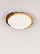 Aster Sky Travertine Ceiling Light, detail view 5