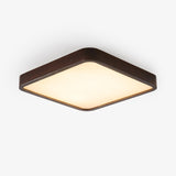 Aster Veil Wood Ceiling Light