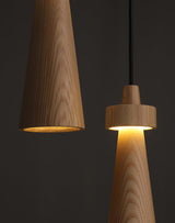 Elora Flint Wood Pendant Light, detail view 9