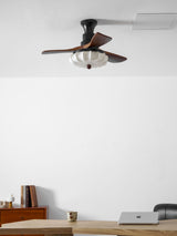 Jora Meadow Wood Ceiling Fan, detail view 42