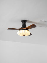 Jora Meadow Wood Ceiling Fan, detail view 44