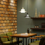 Clara Oak Iron Pendant Light, detail view 4