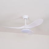 Tarin Linden Acrylic Ceiling Fan, detail view 28