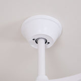 Tarin Linden Acrylic Ceiling Fan, detail view 22