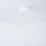 Jora Winter Metal Ceiling Light, detail view 31
