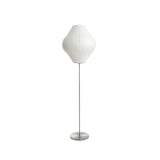 Tarin Aster Steel Floor Lamp, detail view 24